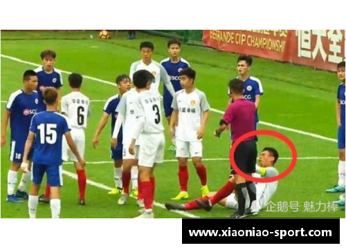 球员遭遇袭击：体育界的安全警示