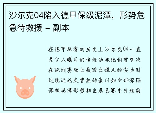 沙尔克04陷入德甲保级泥潭，形势危急待救援 - 副本