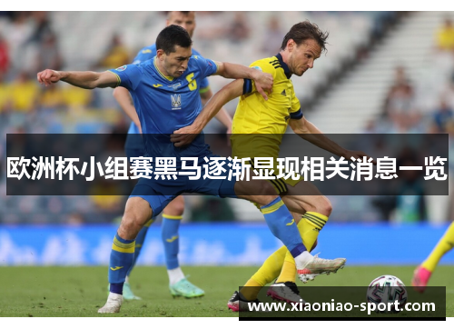 欧洲杯小组赛黑马逐渐显现相关消息一览